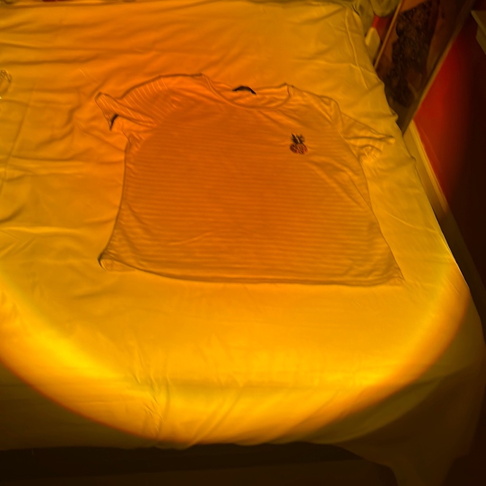 Embroidery yellow pineapple striped tee